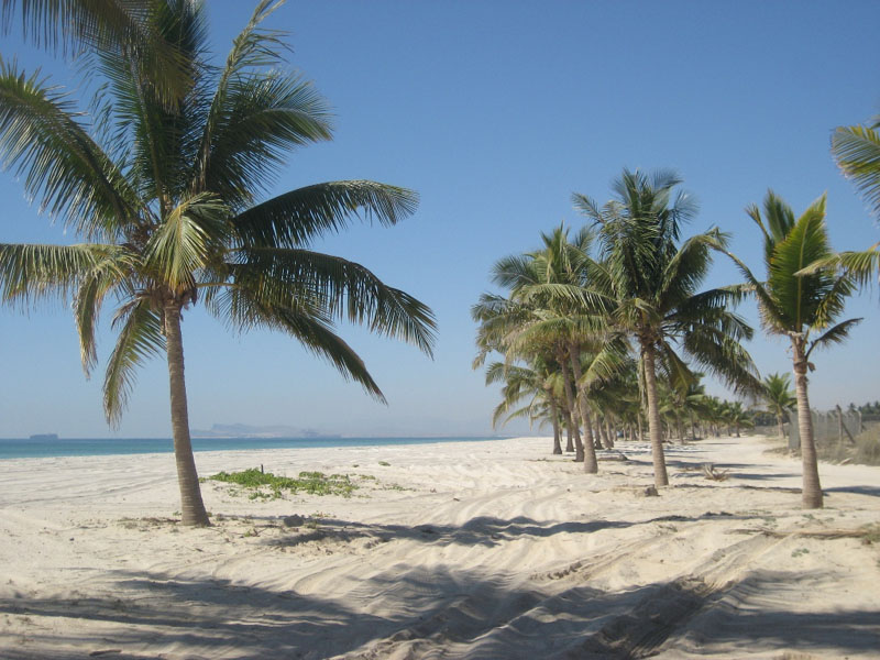 Socotra.......Oman